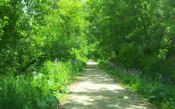 Wild Goose State Trail