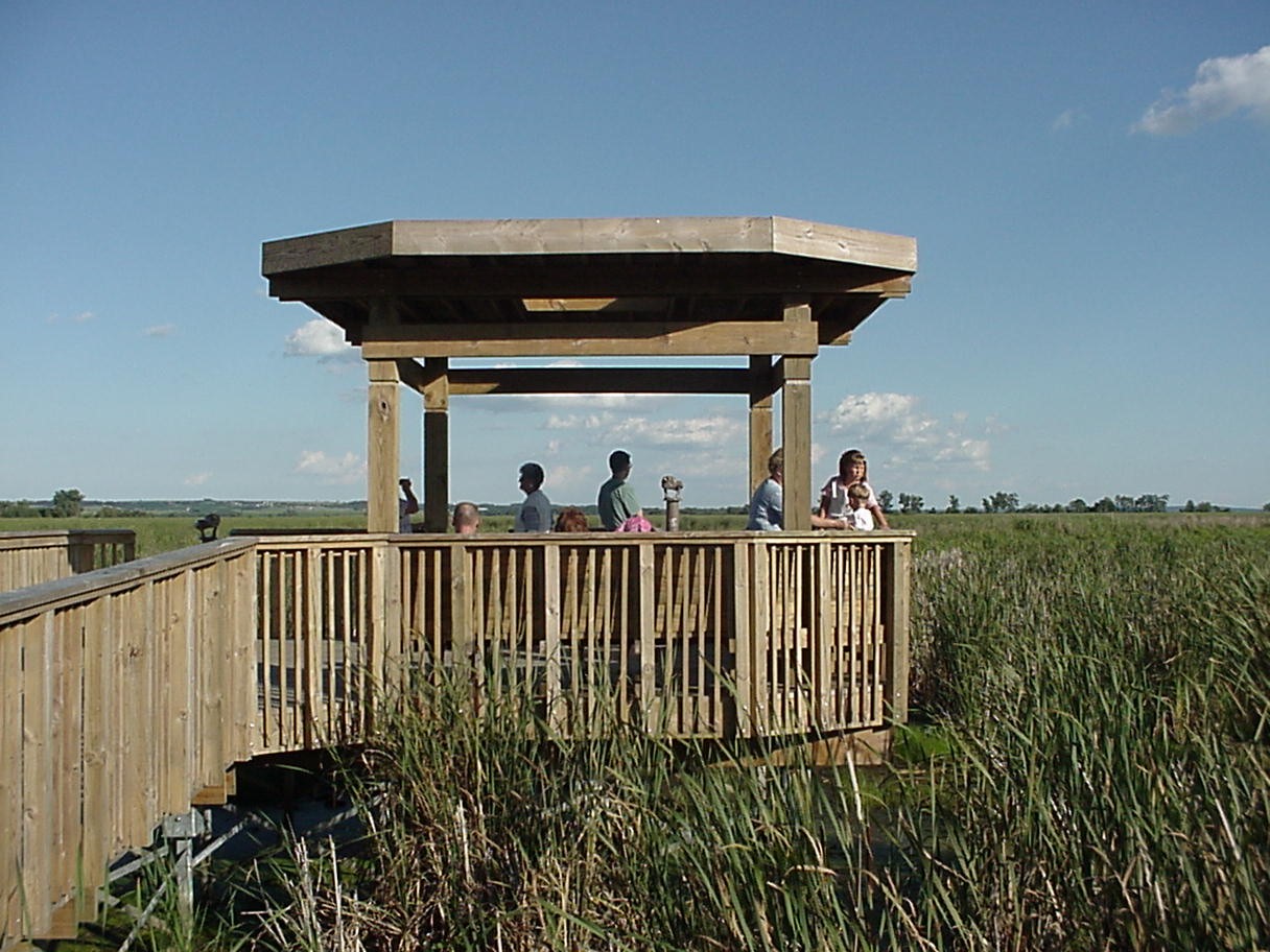 Horicon Marsh Boardwalk