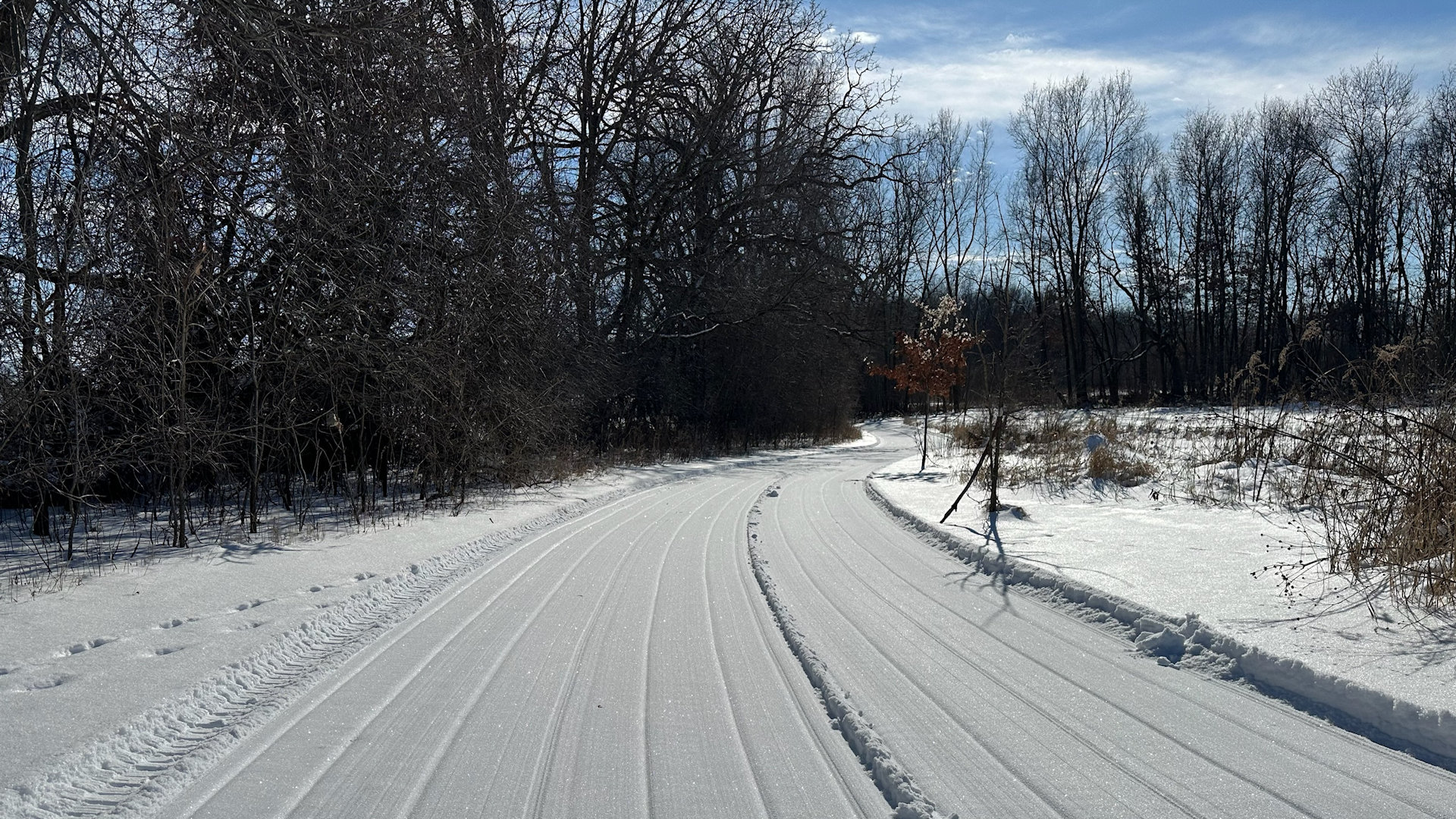 Nitschke Mounds Park - Groomed Trails